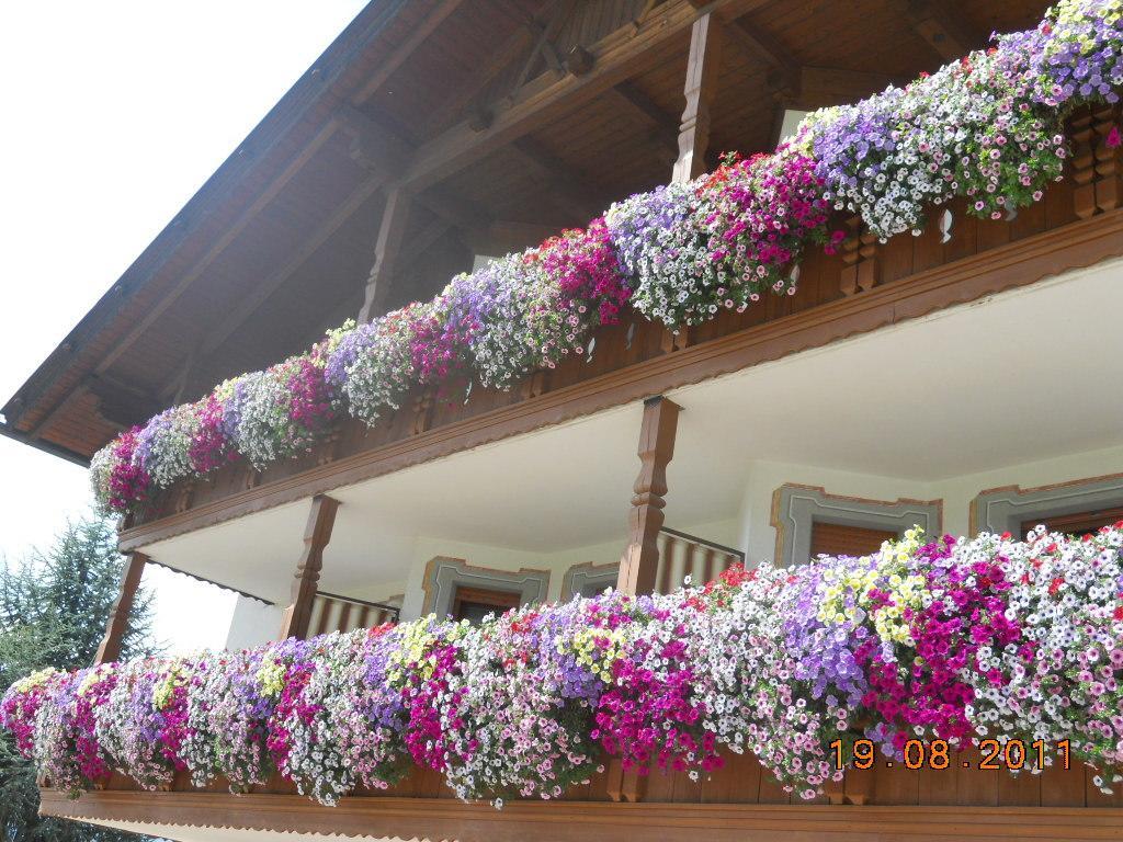 Hotel Rosenheim Rodengo Exterior foto